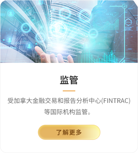 查看领峰环球资质与监管牌照